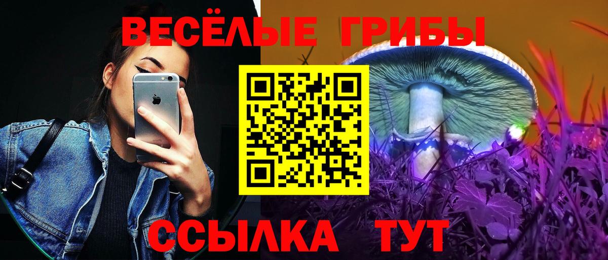 Псилоцибиновые грибы GOLDEN TEACHER Кизилюрт